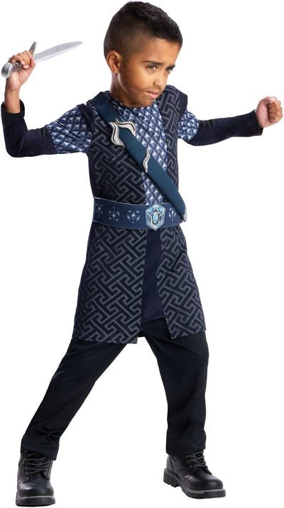 Hobbit| Thorin Costume - 3-4 Years | Earthlets.com |  | play costumes