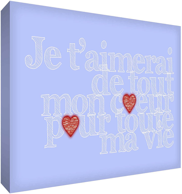 Feel Good Art Canvas Art with French Text - J'aimerai de tout mon coeur pour toute la vie Size Name: 30 x 40 cm Colour Name: Vintage Pink nursery art Earthlets